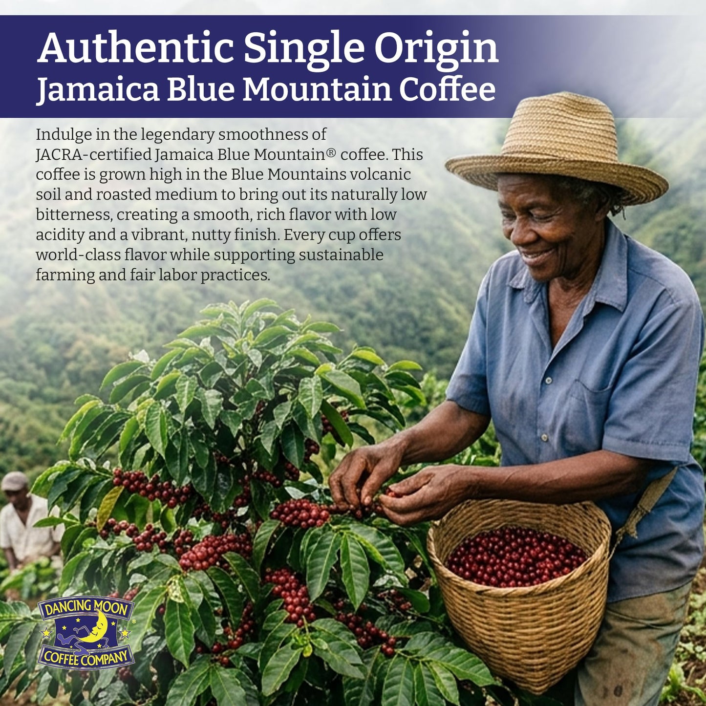 Dancing Moon 100% Pure Jamaica Blue Mountain® Ground Coffee - 8 oz Medium Roast