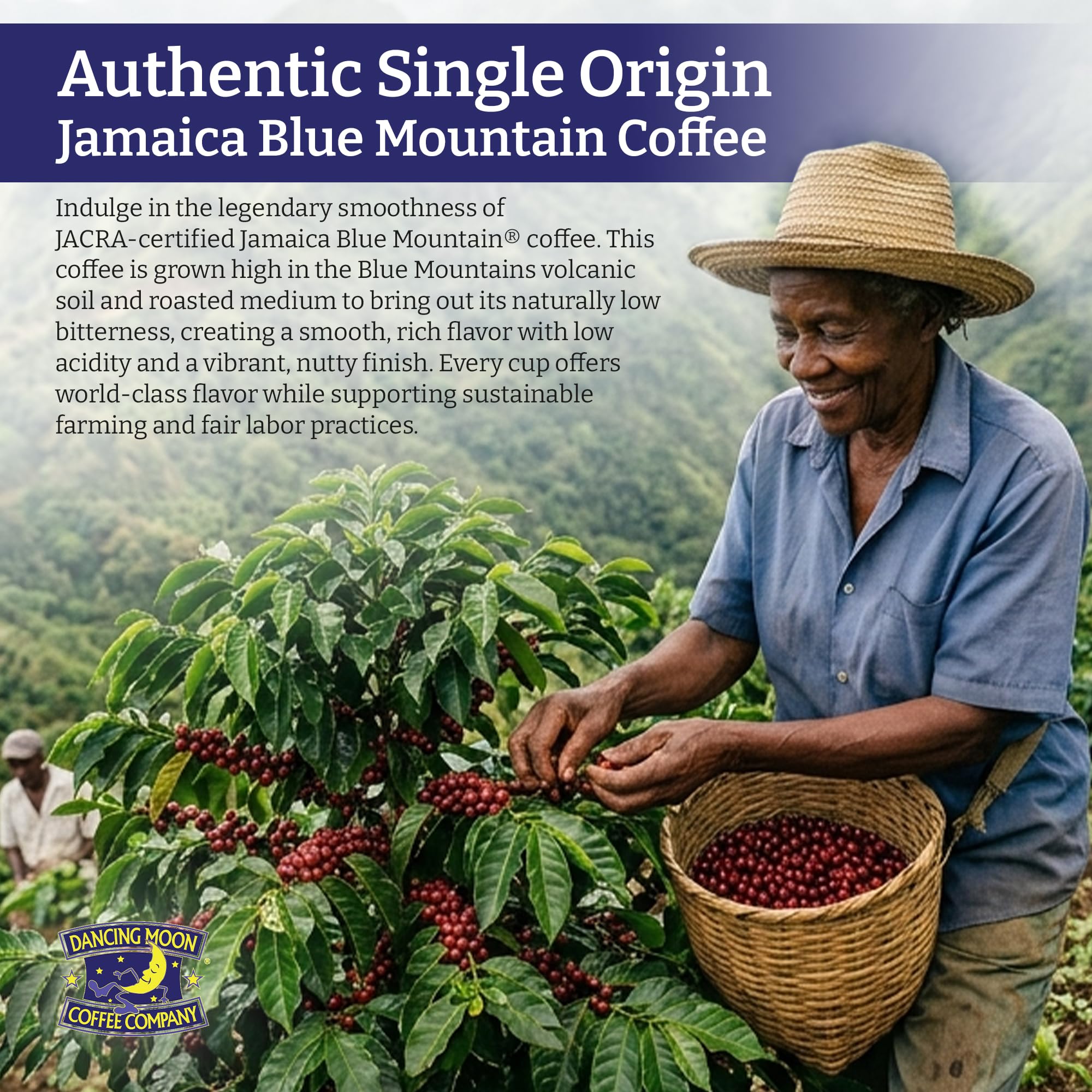 Dancing Moon 100% Pure Jamaica Blue Mountain® Ground Coffee - 8 oz Medium Roast