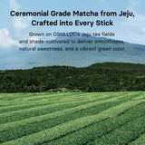 Osulloc Matcha Plus+ Gut Ease (Apple & Berry Flavor), Matcha & Probiotics Blend, Natural Sweet fruity flavor, 10 Count