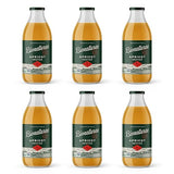 Bionaturae Organic Apricot Nectar - Apricot Juice, Apricot Nectar Juice, Non-GMO, USDA Certified, No Sugar Added, No Preservatives, Organic Apricot