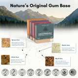 Underbrush Variety Pack Remineralizing Natural Gum, Sugar Free Xylitol Gum with Hydroxyapatite, Supports Fresh Breath and Oral Health, Tree Sap Base