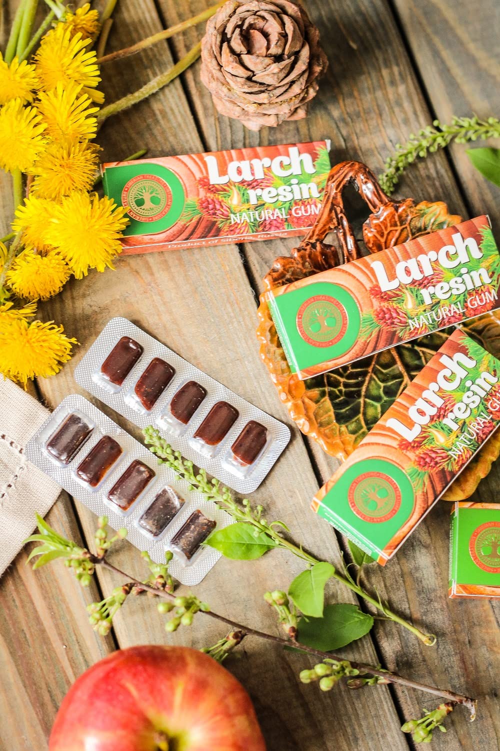 Siberian Larch Resin, Natural Gum, No Sugar, Non-Gmo, 5 Packs (25 Pieces)