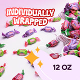 Bubblegum - 12 OZ Bag - Chewing Gum for Kids- Grape, Apple, Watermelon - Individually Wrapped - Great for Party Favors, Goody Bags, Pinata Stuffer