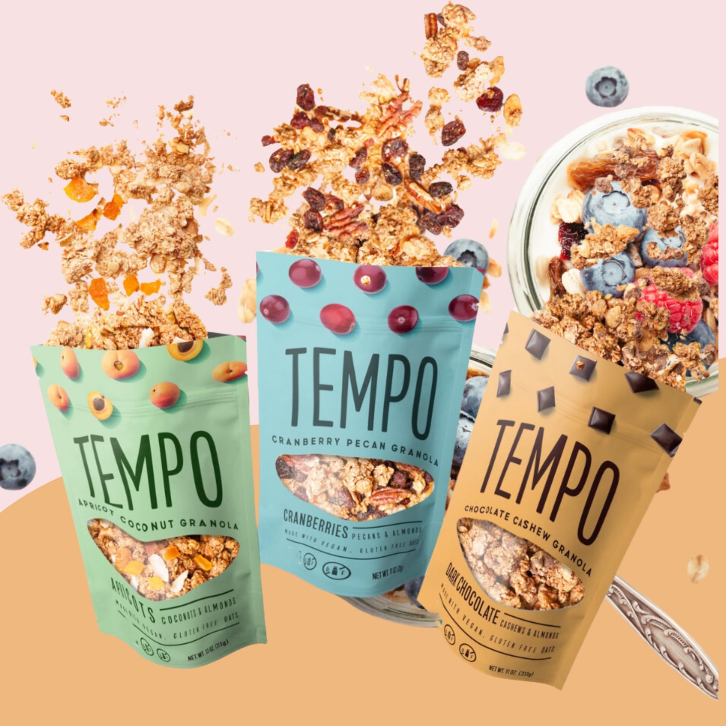Tempo Loose Granola (11 Ounce (Pack of 1), Dark Chocolate Cashew)