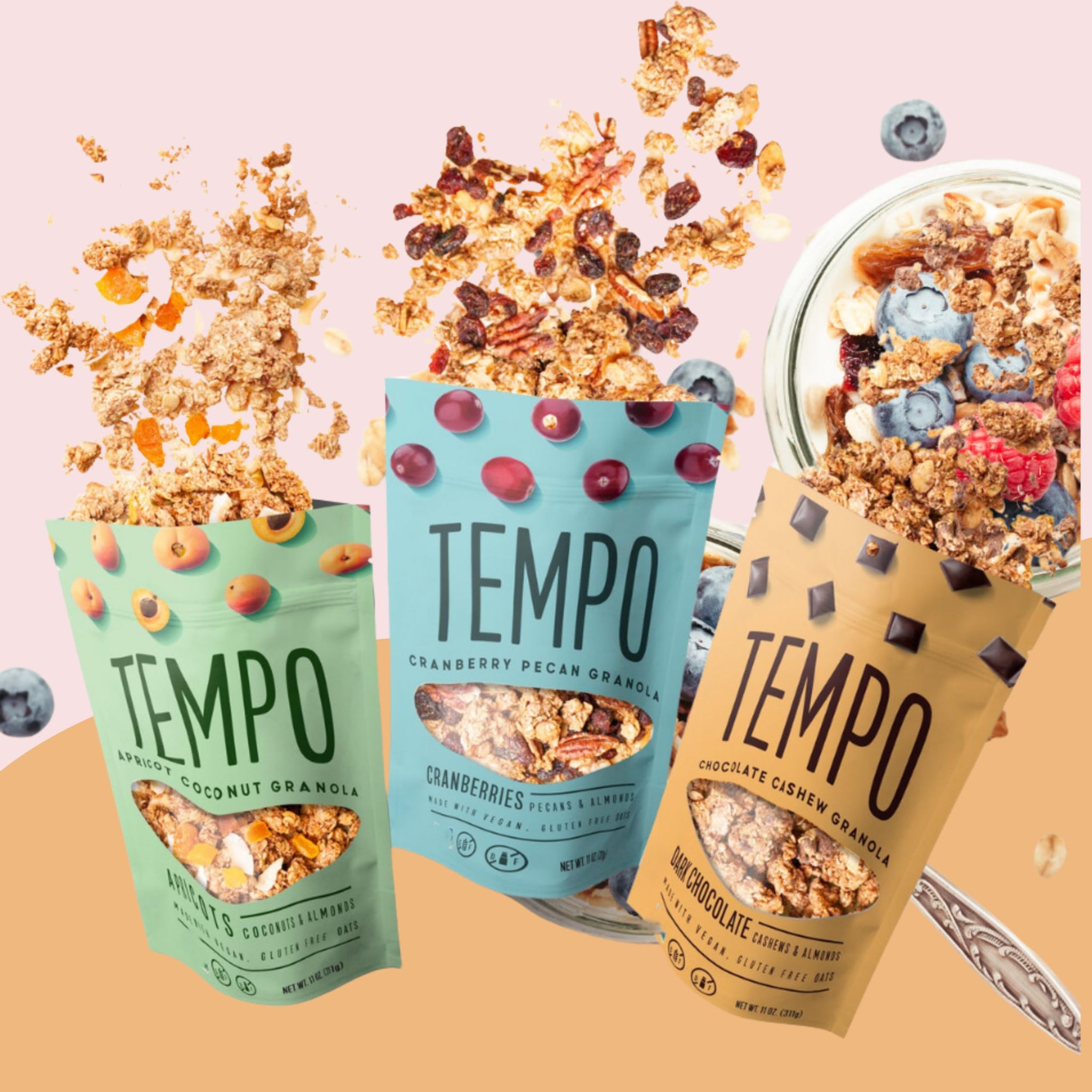 Tempo Loose Granola (11 Ounce (Pack of 1), Dark Chocolate Cashew)