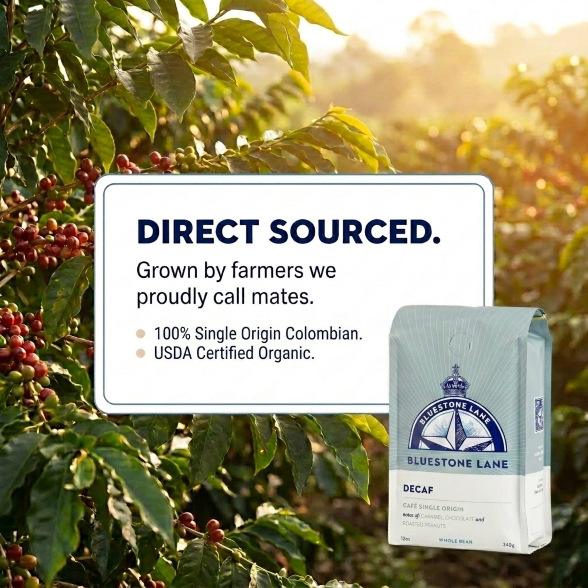 Bluestone Lane Coffee, Decaf Colombian Espresso Beans, Medium Roast, Whole Bean, 12 Ounce Bag, Fresh Roasted Single Origin