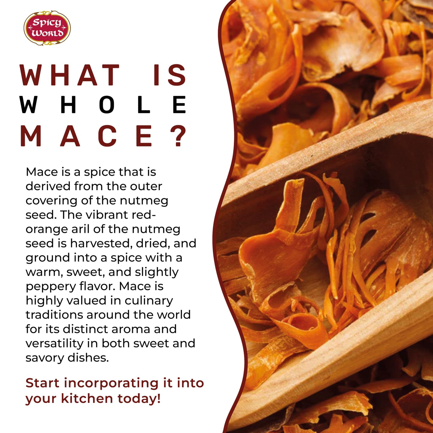 Spicy World Mace Whole 3.5oz (100g) - Javathri, Pure, Natural, Nutmeg's Rind