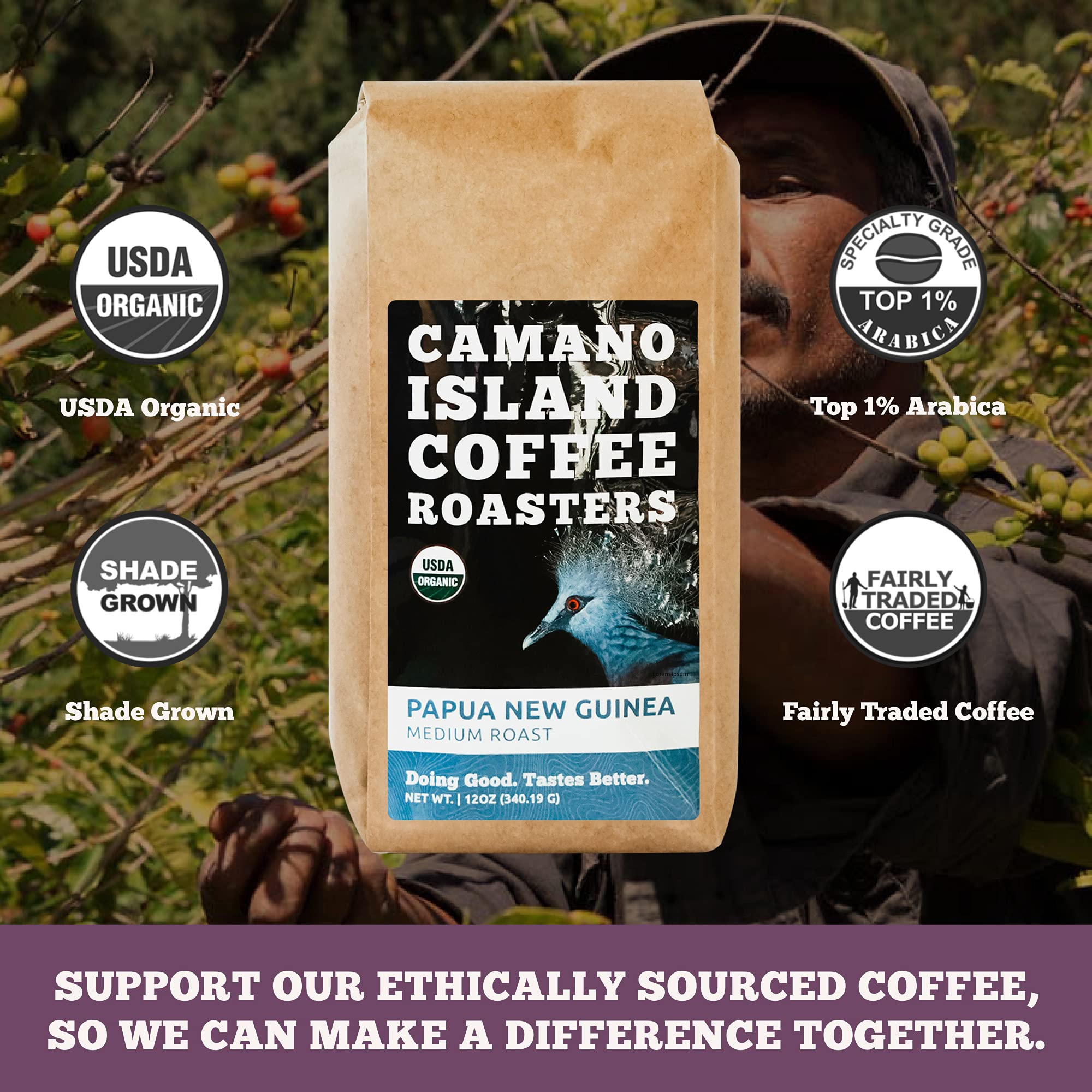 Camano Island Coffee Roasters Papua New Guinea Ground 12oz Fresh Medium Roast, USDA Organic, Fairly Traded, Shade Grown Top 1% Arabica, Delicious