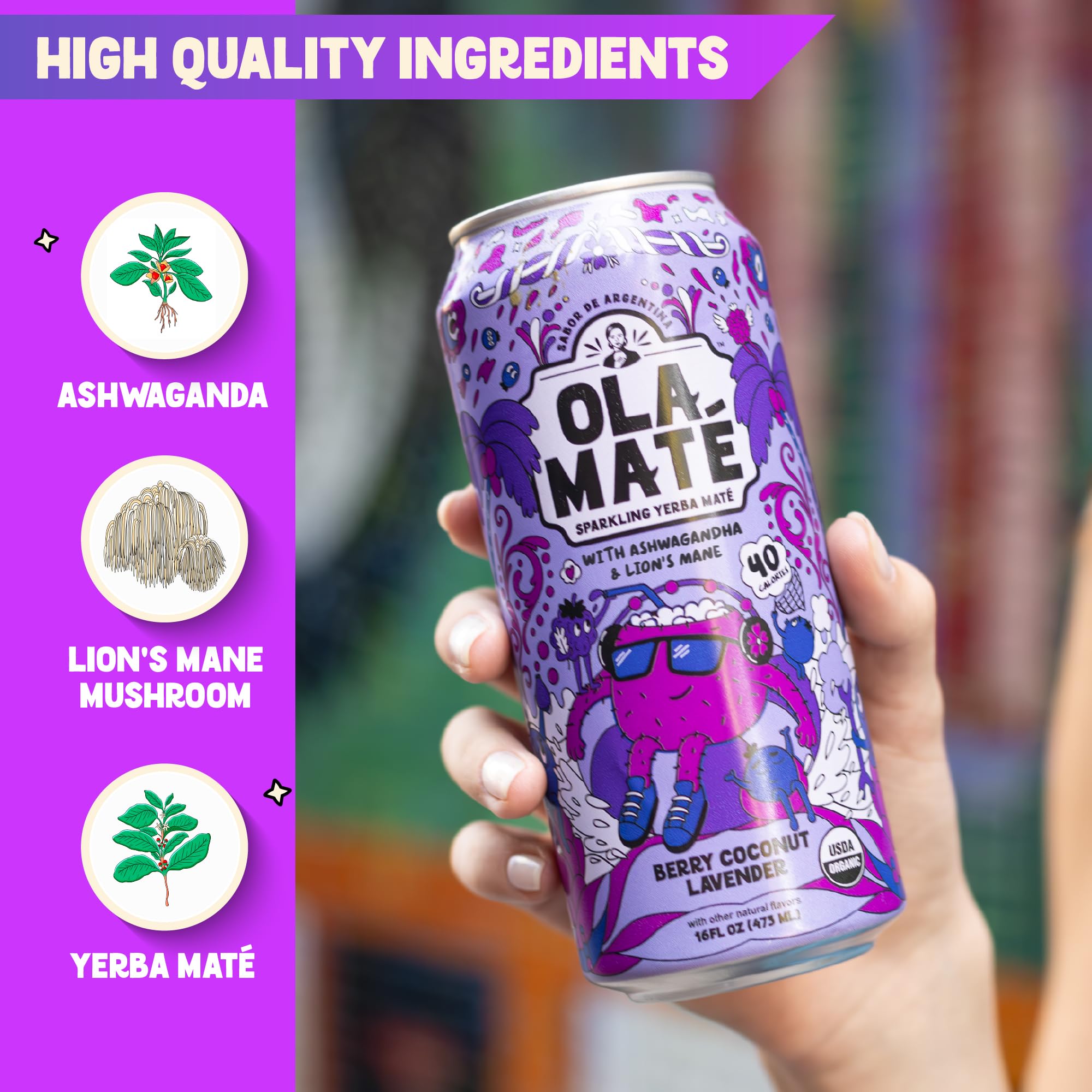 Yerba Mate Energy Drink - Low Sugar Sparkling Tea Cans with Ashwagandha, Lion’s Mane, USDA Organic Clean Energy Drink with 150mg Natural Caffeine, Ola