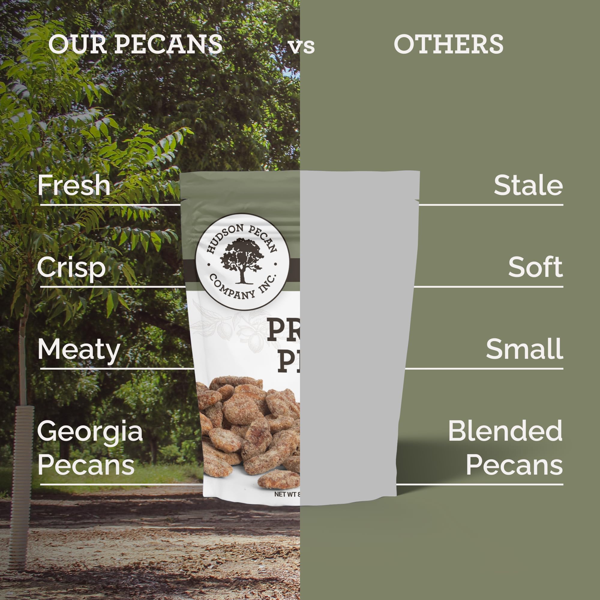 HUDSON PECAN COMPANY: Praline Roasted Georgia Pecans | Candied Gourmet Delight, Irresistible Southern Sweetness (Perfect for Snacking, Baking, Salads