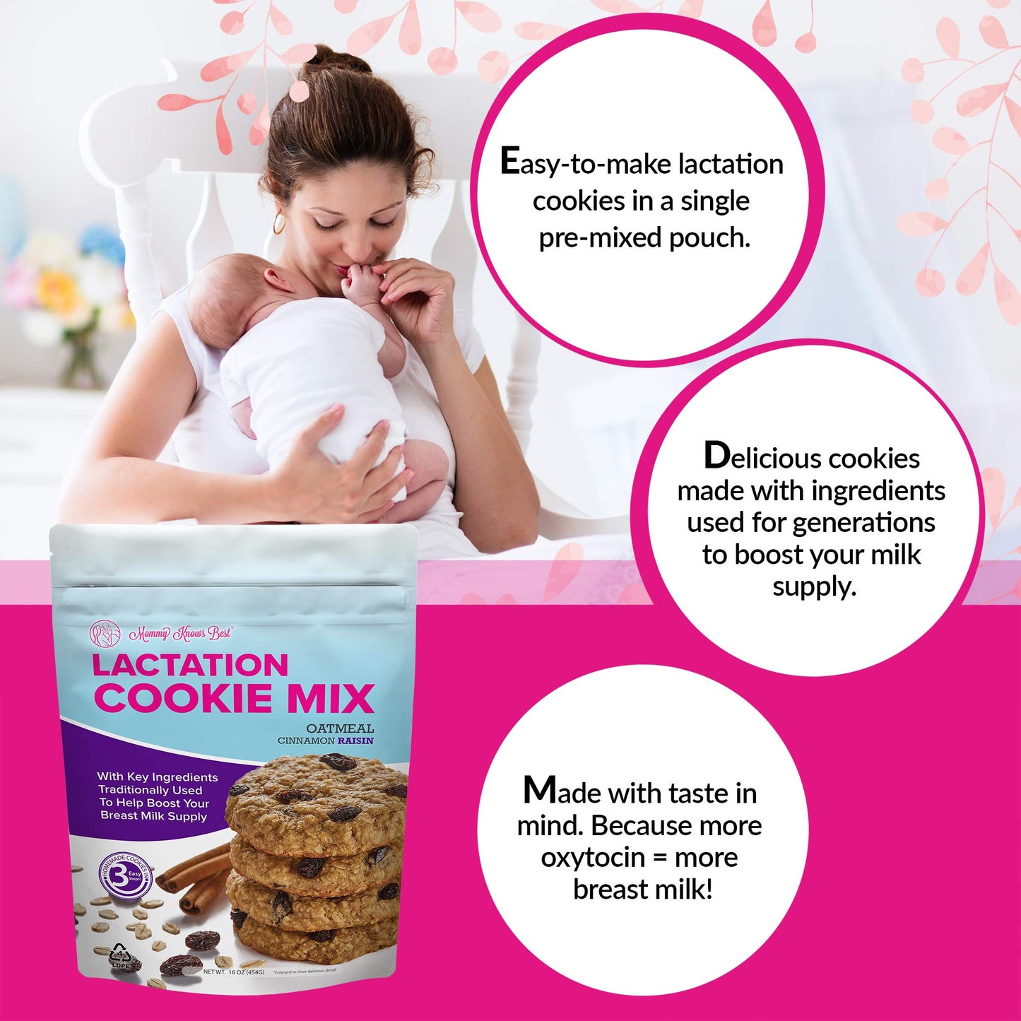 Lactation Cookies Mix - Oatmeal Breastfeeding Cookie Supplement Support for Breast Milk Supply Increase (Cinnamon Raisin, 1 Pound (Pack of 1))