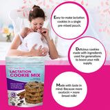 Lactation Cookies Mix - Oatmeal Breastfeeding Cookie Supplement Support for Breast Milk Supply Increase (Cinnamon Raisin, 1 Pound (Pack of 1))