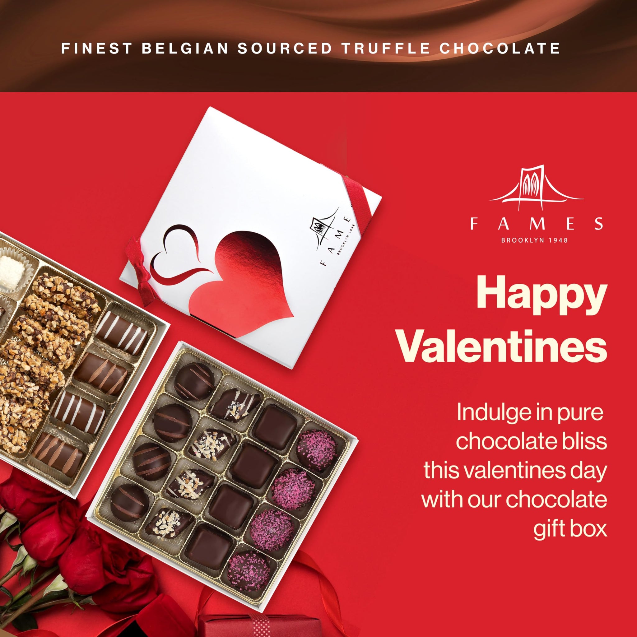 Assorted Chocolate Gift Box - USA Handcrafted Viennese Dark, Rich Coconut, Swirl - Gourmet Kosher Dairy Free Chocolate Gift for Valentine's Day