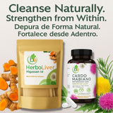 Liver Support Combo - Milk Thistle Capsules + Herbal Detox Tea (Cardo Mariano, Turmeric, Dandelion, Boldo & Cuachalalate) - Natural Liver