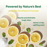 Good Natured Brand | Carpet Deodorizer & Freshener Powder | 31 oz Pet Odor Eliminator for Strong Odor & Pet Urine | Fresh Natural Lemon Scent | Safe