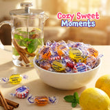 Sugar Free Candy - 1 Pound Pack - Hard Candy Individually Wrapped - Lemon, Butterscotch, Peppermint, Cinnamon - Office Bowl Mix - Old Fashioned