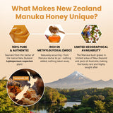 Bees & Trees New Zealand Manuka Honey - 830+ & 350+ MGO - Pure, Unpasteurized Monofloral Premium Superfood Raw Honey, Daily Wellness & Vitality