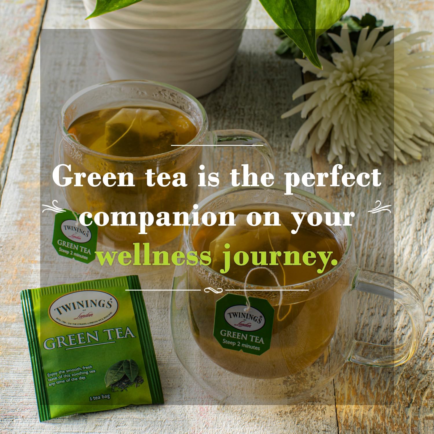 Twinings Green Tea Bags - Caffeinated Tea Made from Fresh Green Tea Leaves, Perfect for Hot or Iced Tea, 50 Count