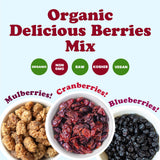 Food to Live Organic Delicious Berries Mix, 4 Pounds - A Blend of Non-GMO Dried Blueberries, Cranberries, and White Mulberries Gently Infused
