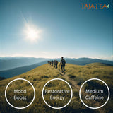 Taja Saffron Tea - Saffron & Mango Fusion Green Tea, Mood Boosting, Detox, Revive and Refresh Blend, Caffeinated | Gluten Free | Kosher, 20 Tea Bags