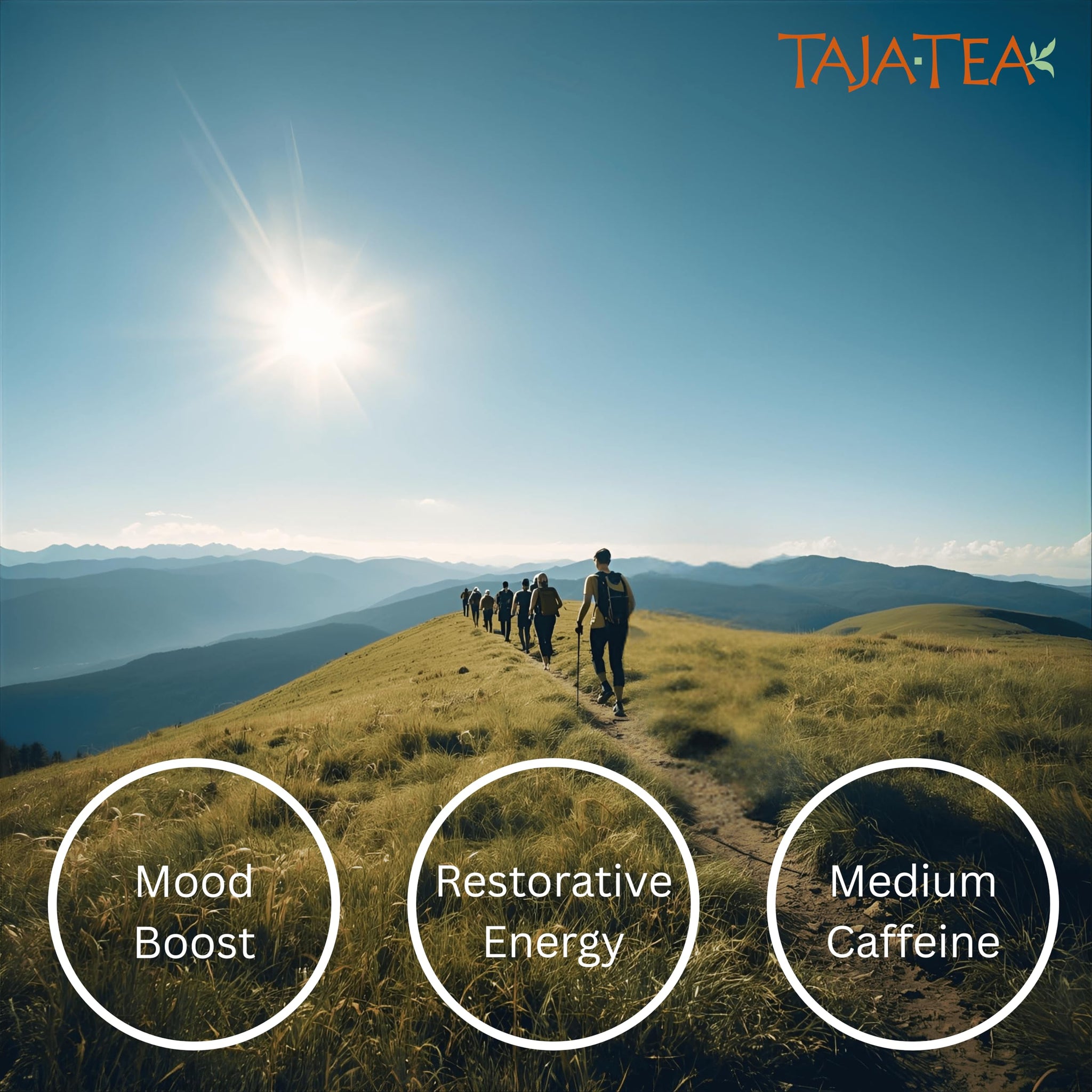 Taja Saffron Tea - Saffron & Mango Fusion Green Tea, Mood Boosting, Detox, Revive and Refresh Blend, Caffeinated | Gluten Free | Kosher, 20 Tea Bags