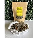 HealinGifts Cota Indian Tea Greenthread Thelesperma cut 1 ounce