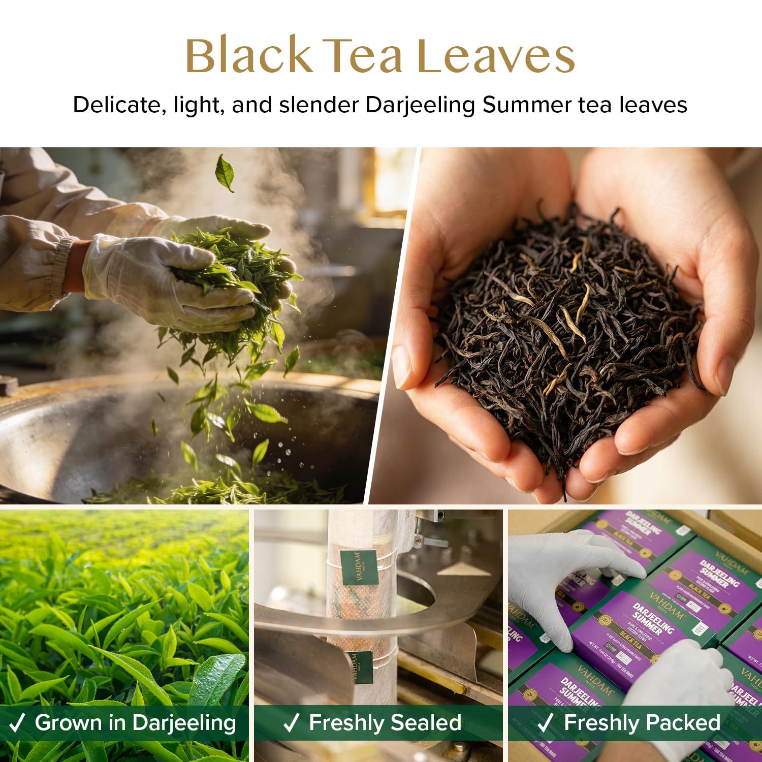 VAHDAM, Darjeeling Black Tea Bags (100 Count) High Caffeine, Non GMO, Gluten Free | Smooth & Sweet Tea With Distinguished Fruity Notes | Full Bodied