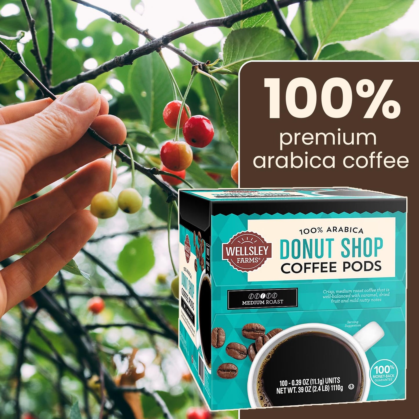 Wellsley Farms Donut Shop Pods | Medium Roast | 100% Arabica | Rich Caramel & Nutty Flavor | Recyclable Single-Serve Pods | Compatible