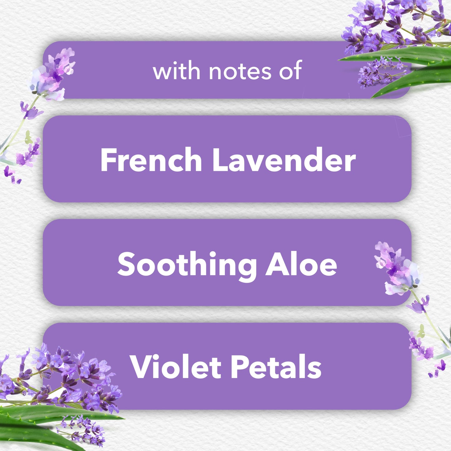 Glade PlugIns Refills Air Freshener, Scented and Essential Oils for Home and Bathroom, Tranquil Lavender & Aloe, 1.34 Fl Oz, 2 Count