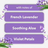 Glade PlugIns Refills Air Freshener, Scented and Essential Oils for Home and Bathroom, Tranquil Lavender & Aloe, 1.34 Fl Oz, 2 Count