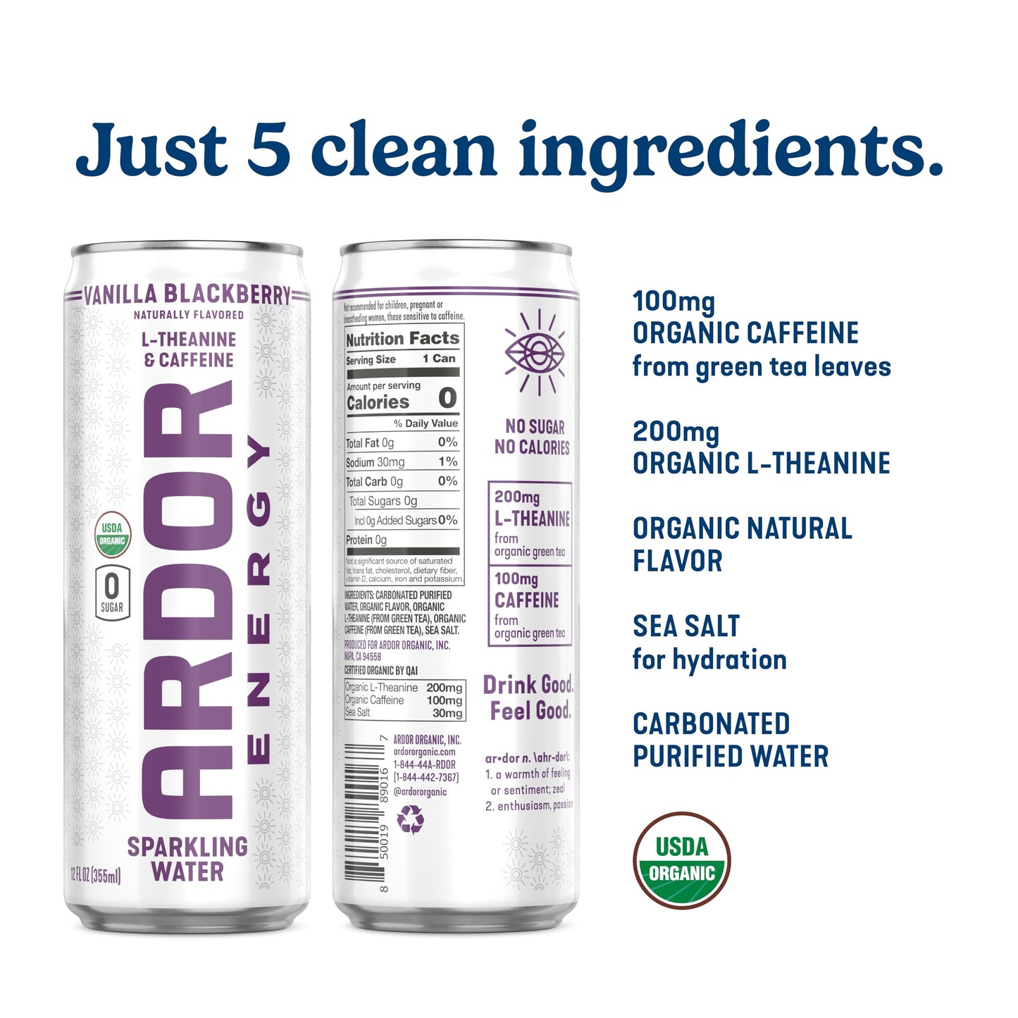 ARDOR ENERGY Sparkling Water with 100mg Natural Caffeine & 200mg L-Theanine from Organic Green Tea for Smooth Energy & Focus | Healthy Energy Drink |