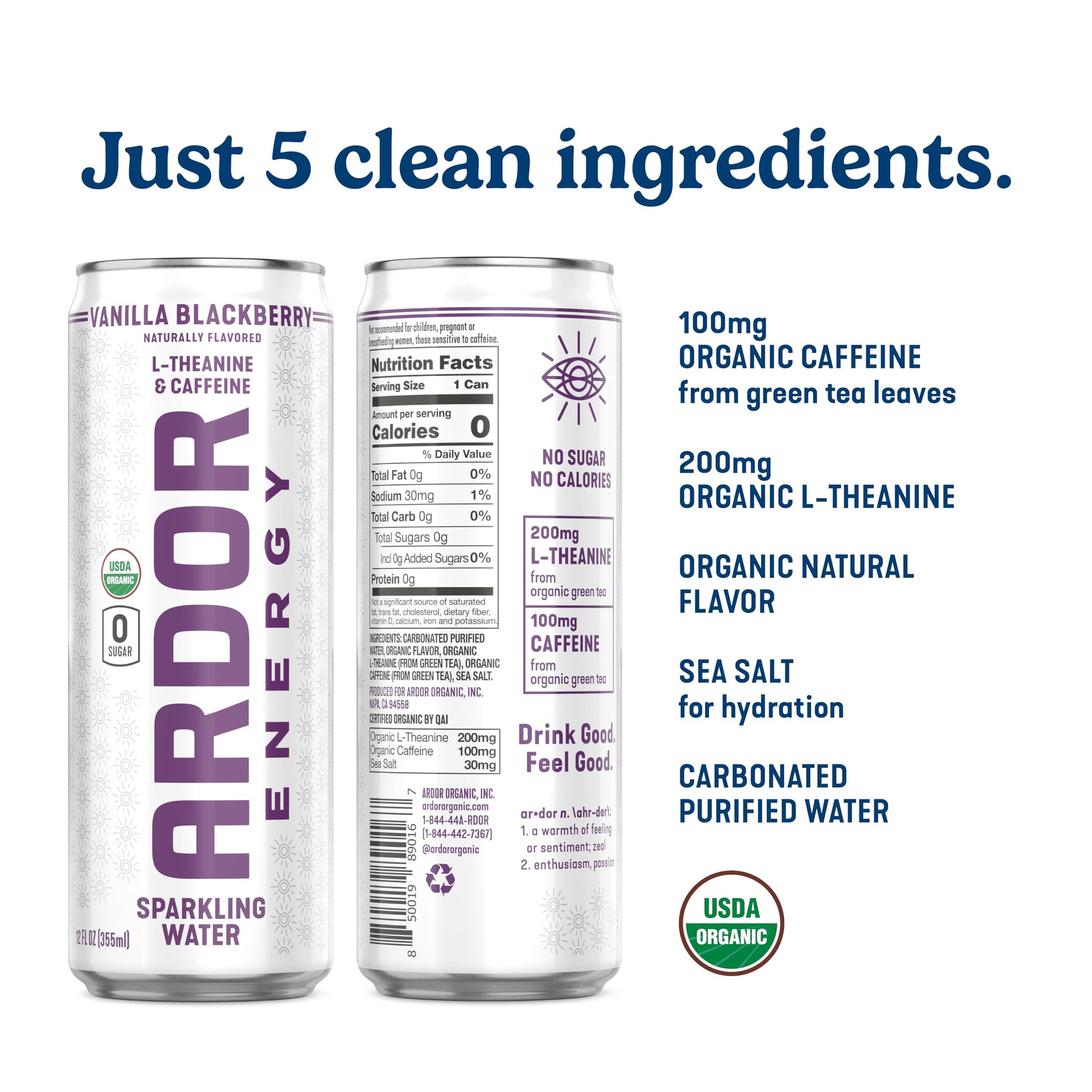 ARDOR ENERGY Sparkling Water with 100mg Natural Caffeine & 200mg L-Theanine from Organic Green Tea for Smooth Energy & Focus | Healthy Energy Drink |