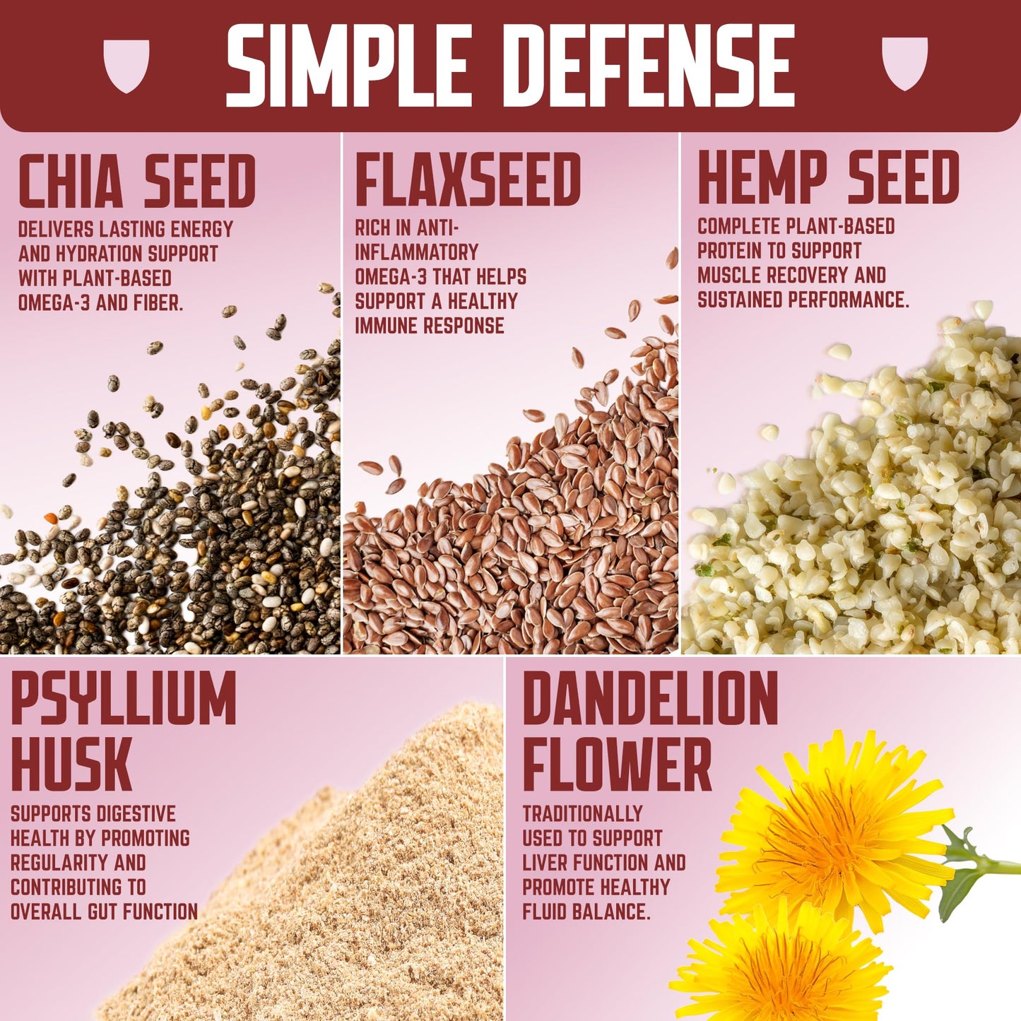 Defender Vegan Protein Bar, Cinnamon Churro Oatmeal, Plant Based Snack or Breakfast Bars, Psyllium Husk, Dandelion Root, High Fiber, Non GMO, Kosher