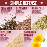 Defender Vegan Protein Bar, Cinnamon Churro Oatmeal, Plant Based Snack or Breakfast Bars, Psyllium Husk, Dandelion Root, High Fiber, Non GMO, Kosher