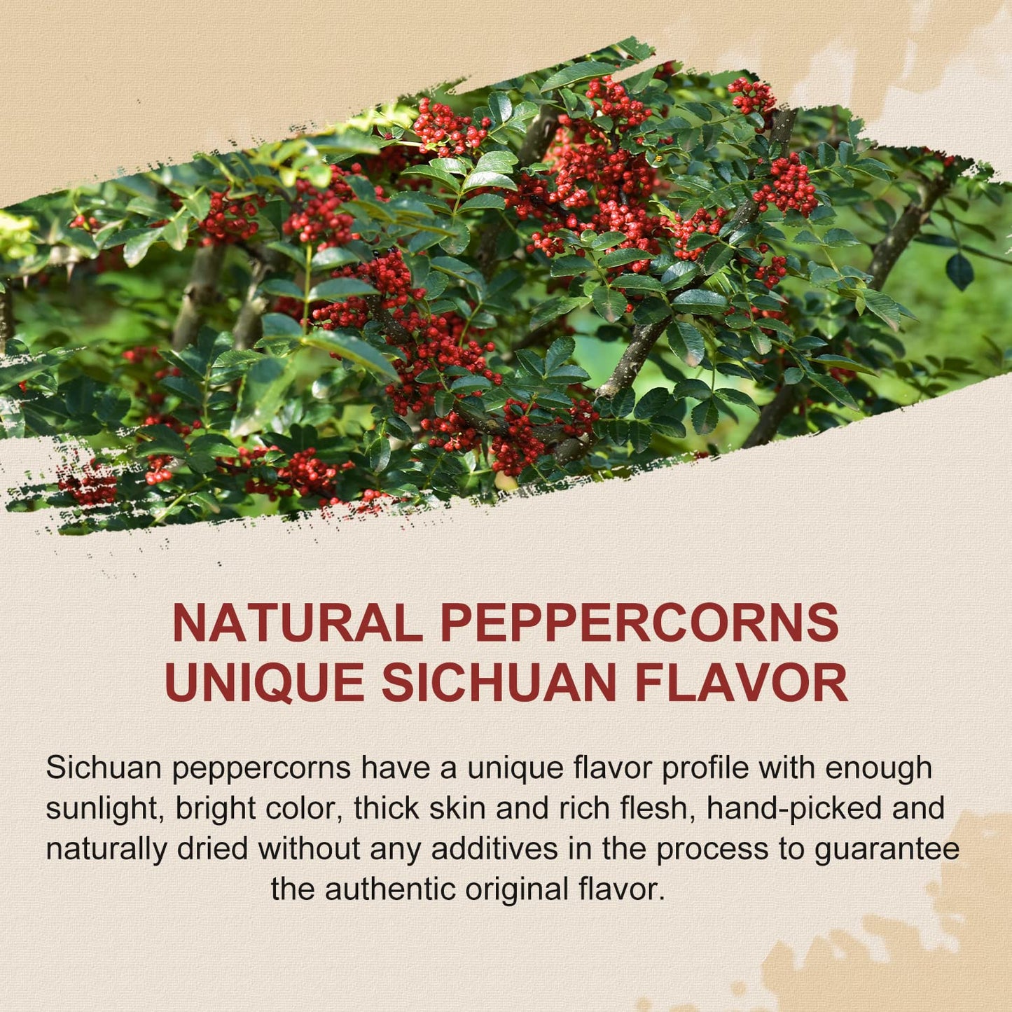 52USA Sichuan Peppercorn, Szechuan Peppercorns(4OZ), Authentic Szechuan Red Peppercorn, Less Seeds, Strong Flavor, Whole Sichuan Red Peppercorns