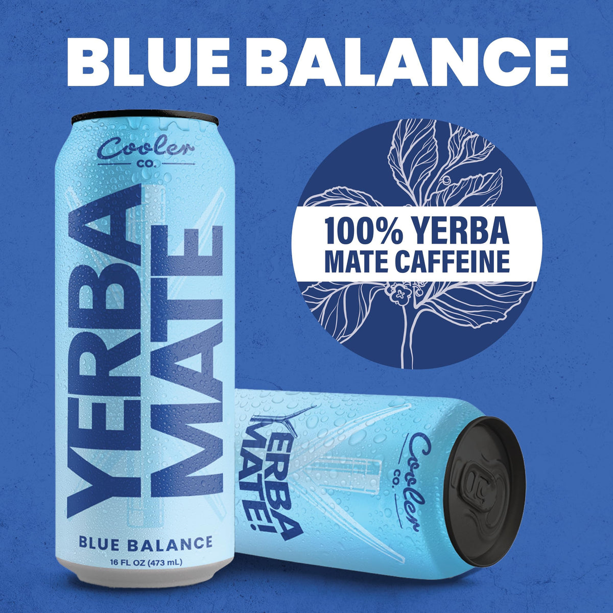 COOLER CO. | YERBA MATE | 100% Org Caffeine | Blue Balance Flavor (12 Pack)