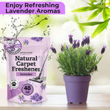 Aromasong Carpet Deodorizer Powder- 2-Pack -100% Natural Lavender Carpet Freshener - Safe For Pets - Carpet Powder For Vacuuming - Effective Pet Odor