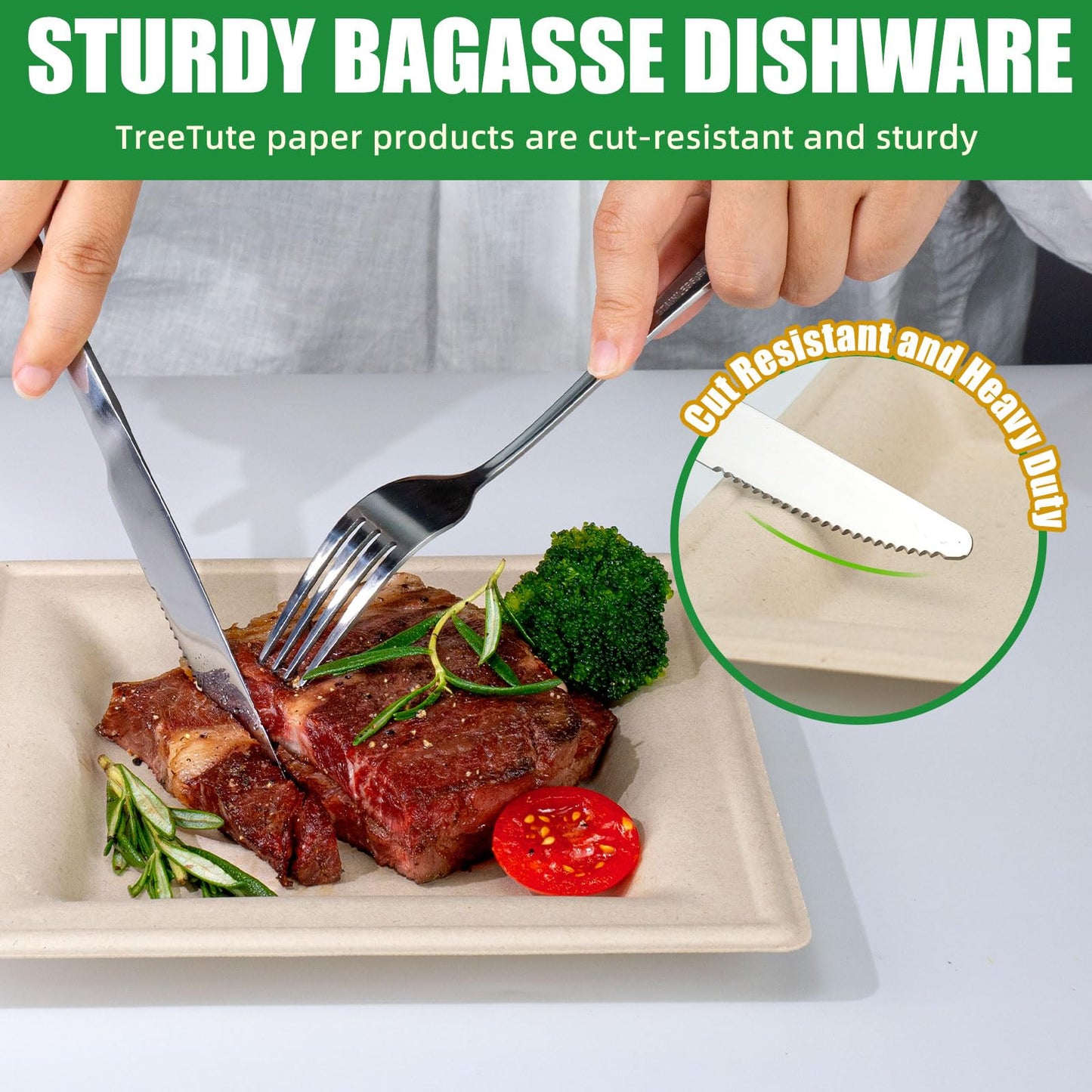 TreeTute 10 Inch Compostable Square Paper Plates [125-Pack], Disposable Biodegradable Bagasse Plates | Heavy-Duty | Eco-friendly | Large Dinner Plates