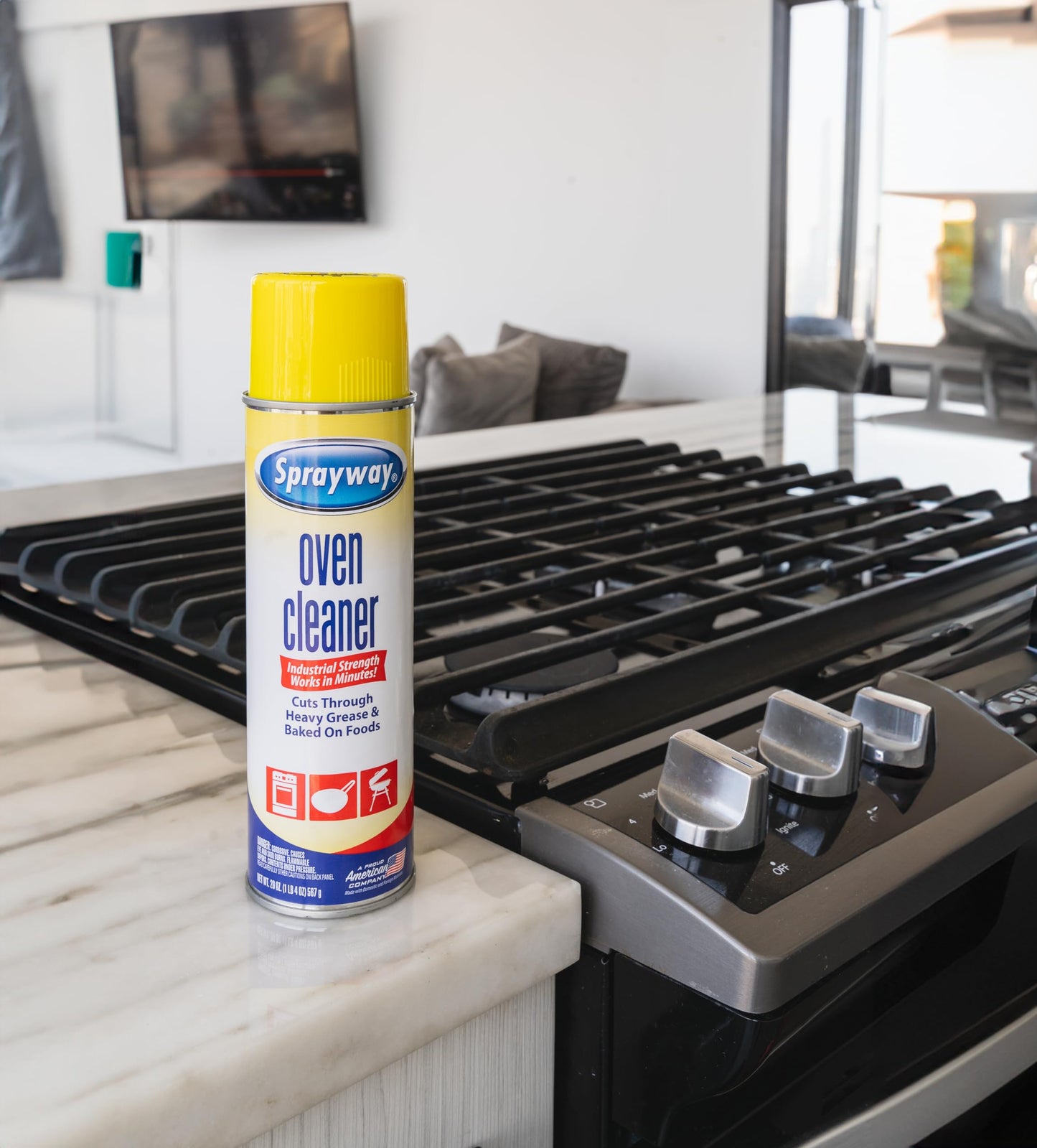 Sprayway Heavy-Duty Oven & Grill Cleaner, Removes Oil & Grease, 20 Oz, 1.25 Pound (Pack of 1), 20 Fl Oz (SW824R)