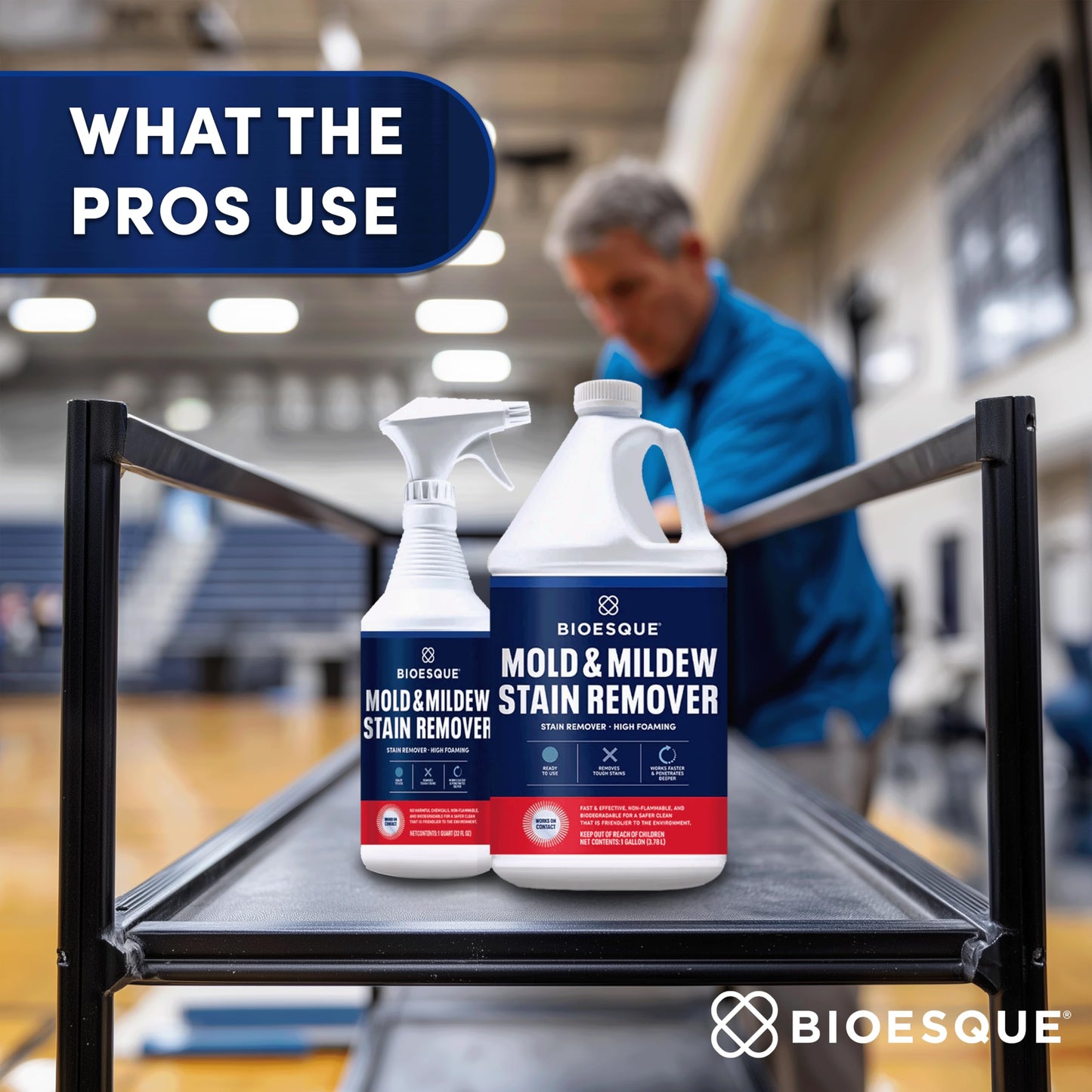 Bioesque Mold & Mildew Stain Remover, 32 Fluid Ounce (Pack of 1)