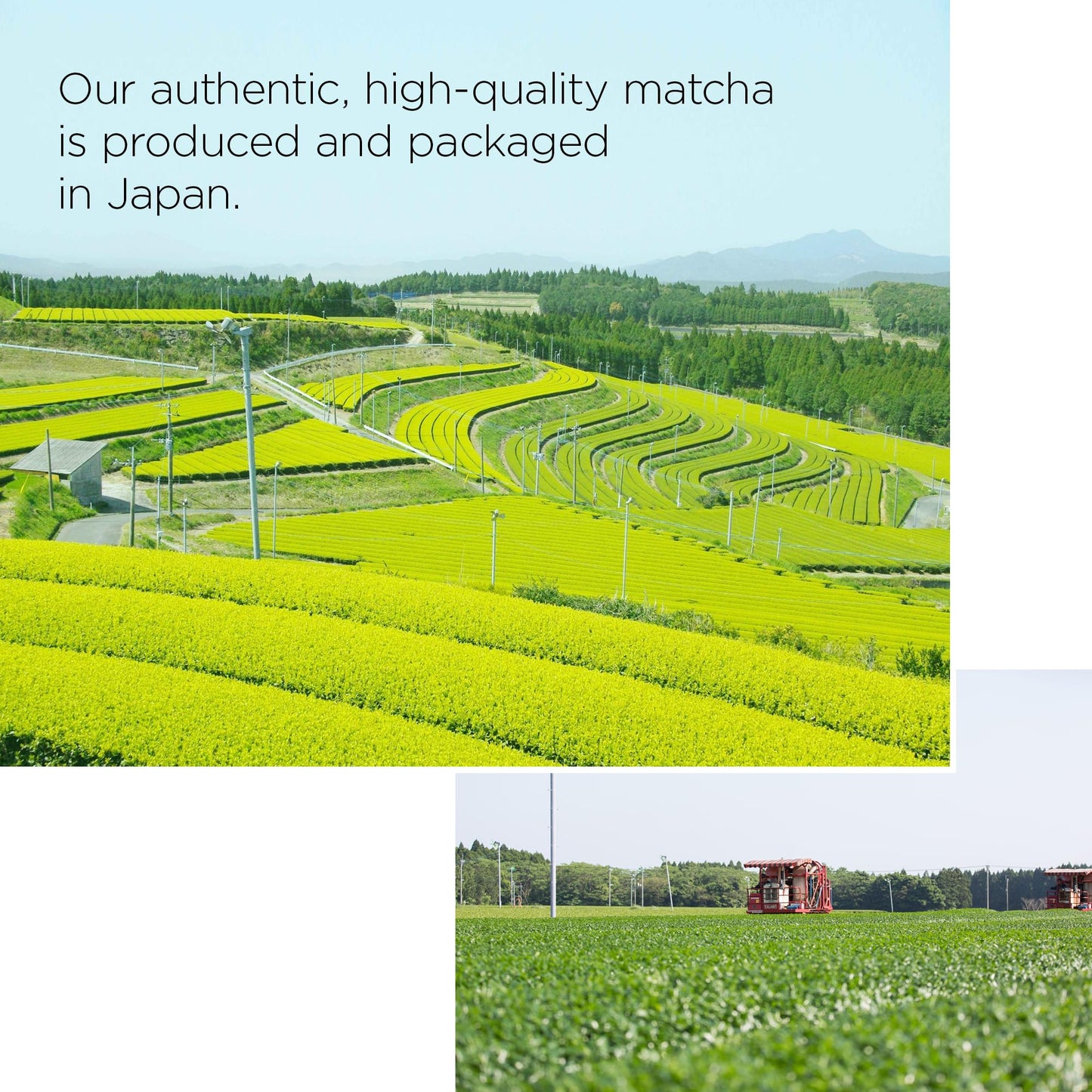 Matcha Mini Shaker Set - 20g Japanese Ceremonial Matcha & Easy-to-Use Shaker Kit