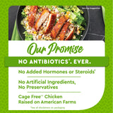 Just Bare Chicken Lightly Breaded Spicy Breast Fillets | Fully Cooked |22 G Protein | Frozen |1.50 LB