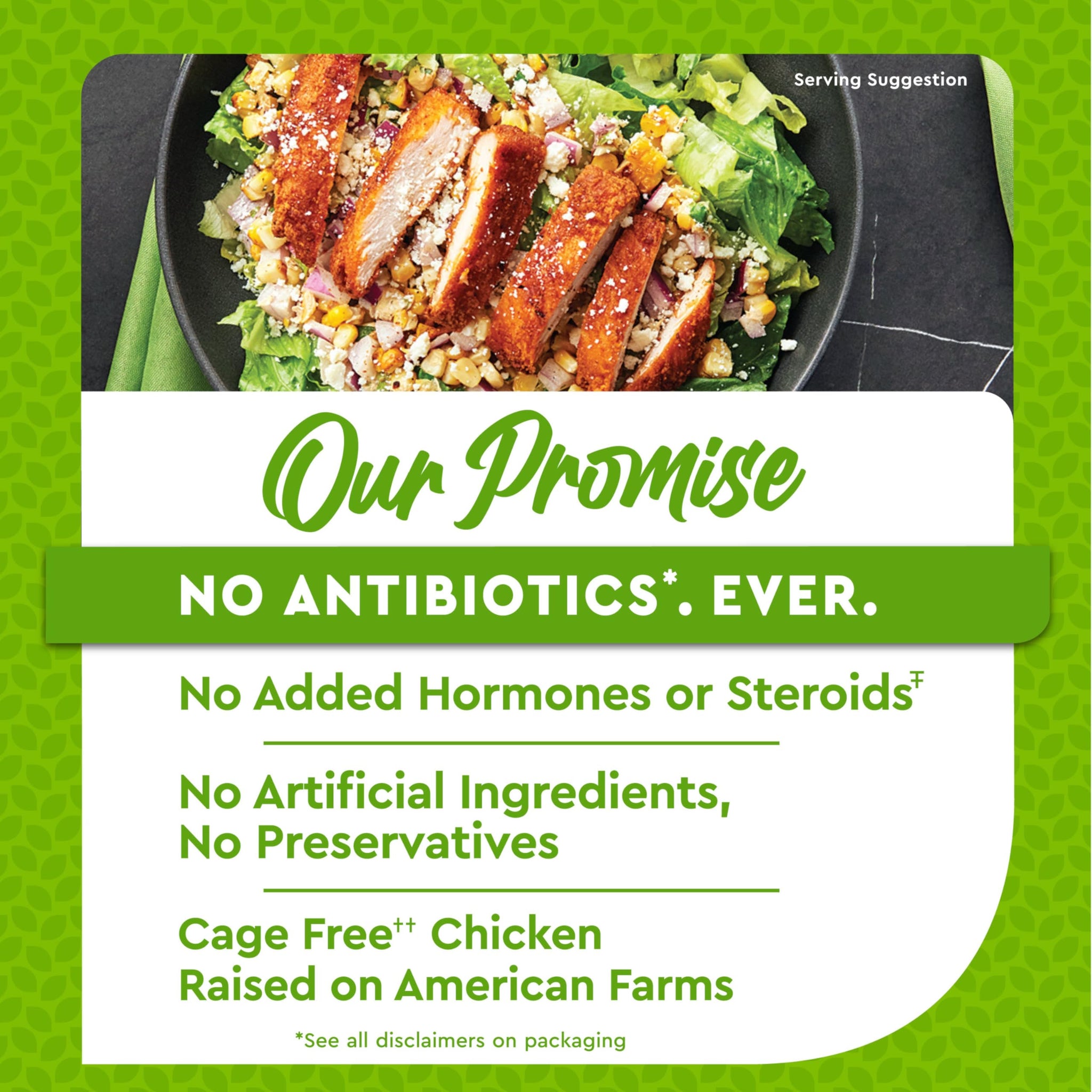 Just Bare Chicken Lightly Breaded Spicy Breast Fillets | Fully Cooked |22 G Protein | Frozen |1.50 LB
