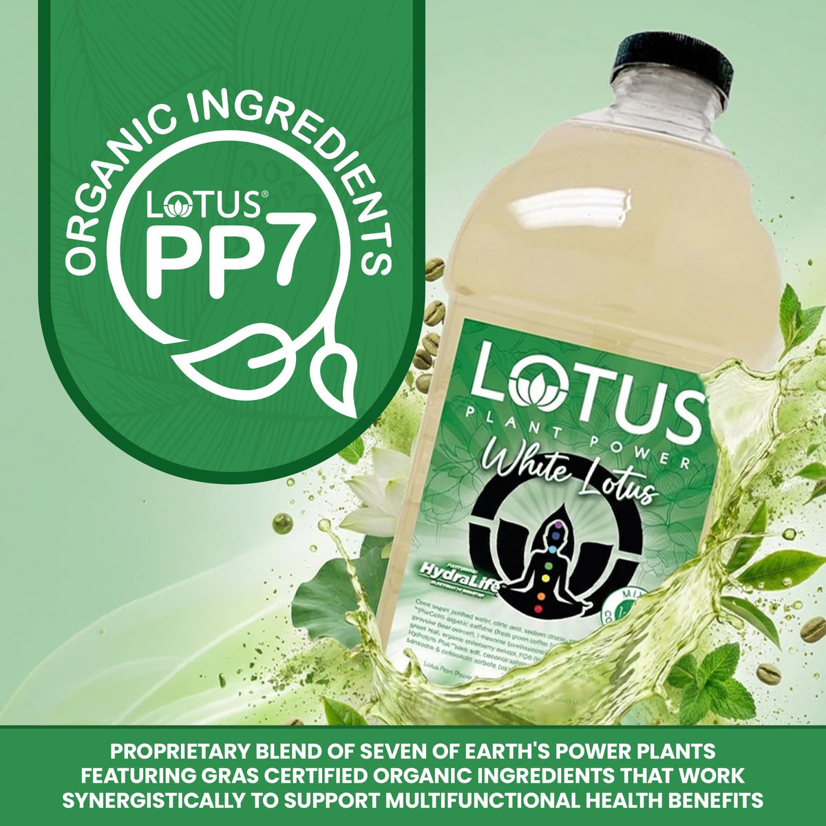 White Lotus Plant Power® Energy Drink Concentrate, PP7™ Formula