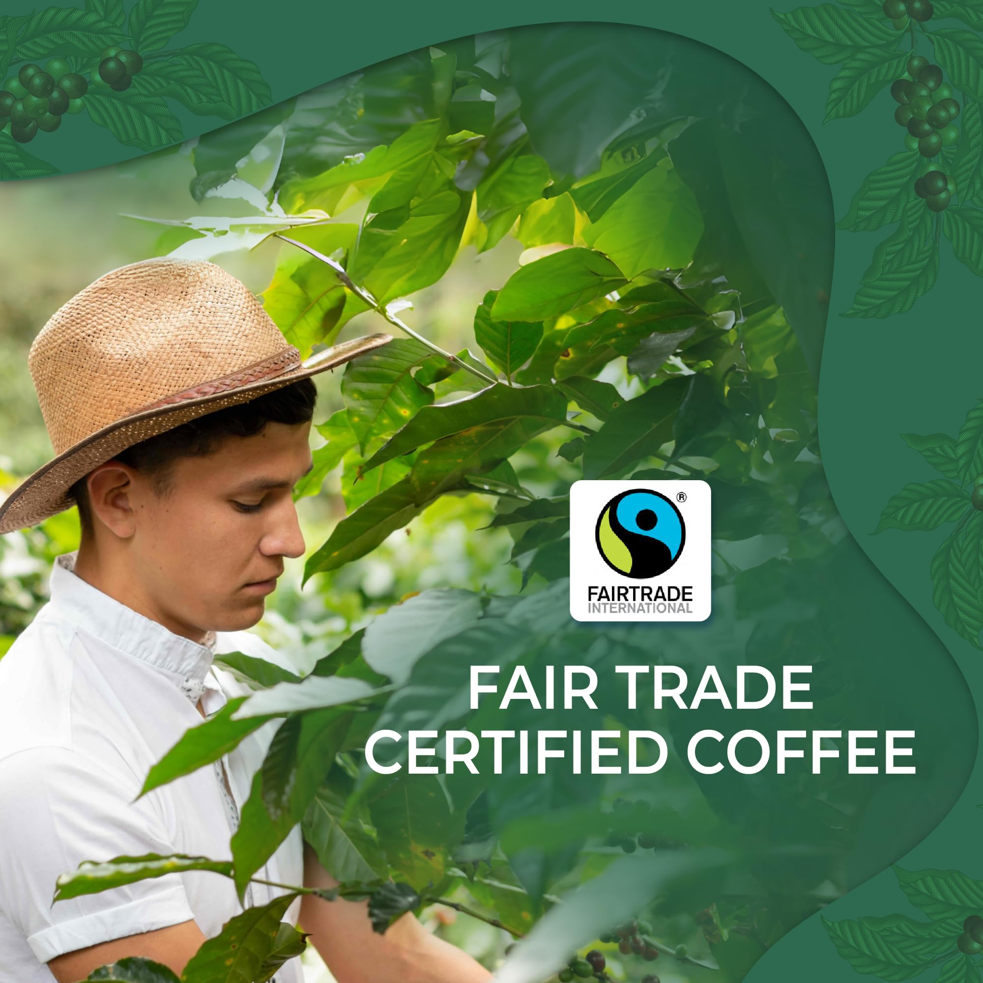 Liquid Gold Coffee from Costa Rica, Medium Roast Ground, 1 bag 12 OZ (340 Grams), Fair Trade, 100% Fresh Arabica Beans, Single Origin Specialty
