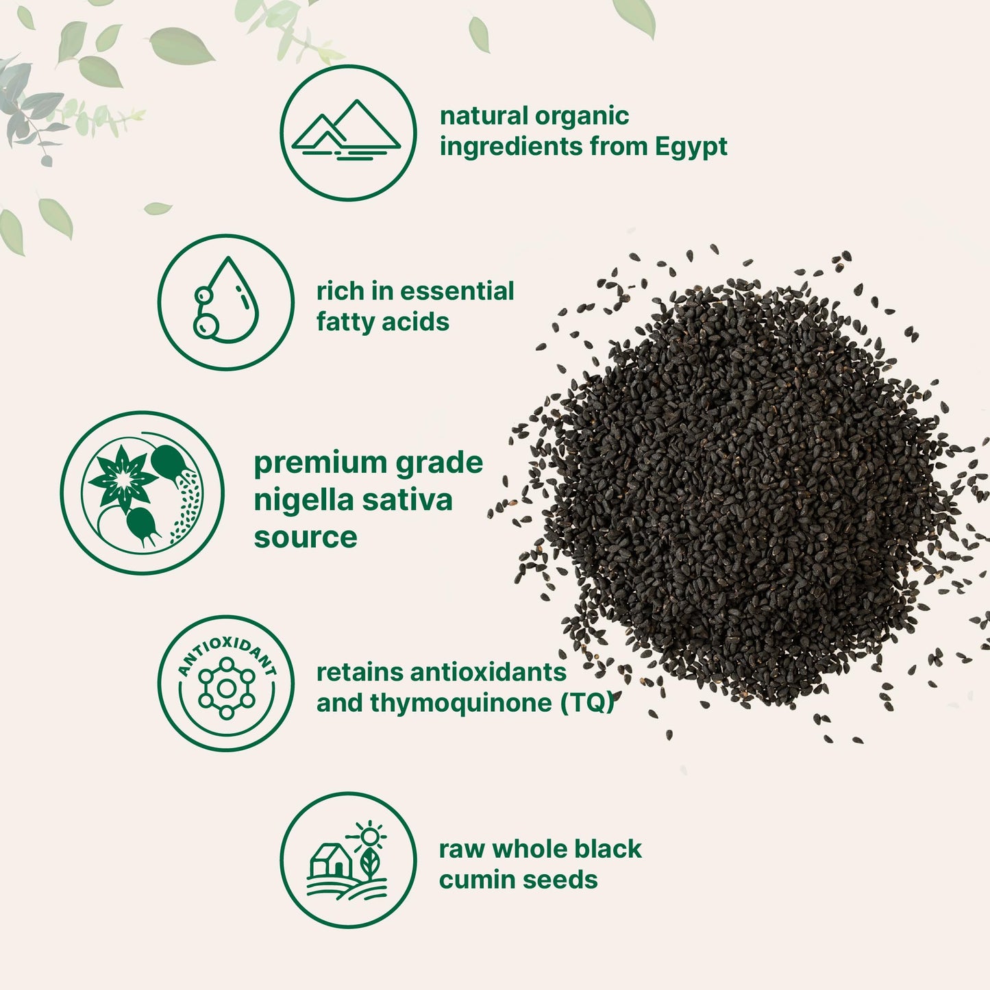 Organic Black Cumin Seed (Nigella Sativa), 2lbs | Premium Grade Whole Black Seed from Egypt | Great for Baking, Seasoning, and Cooking | Additive