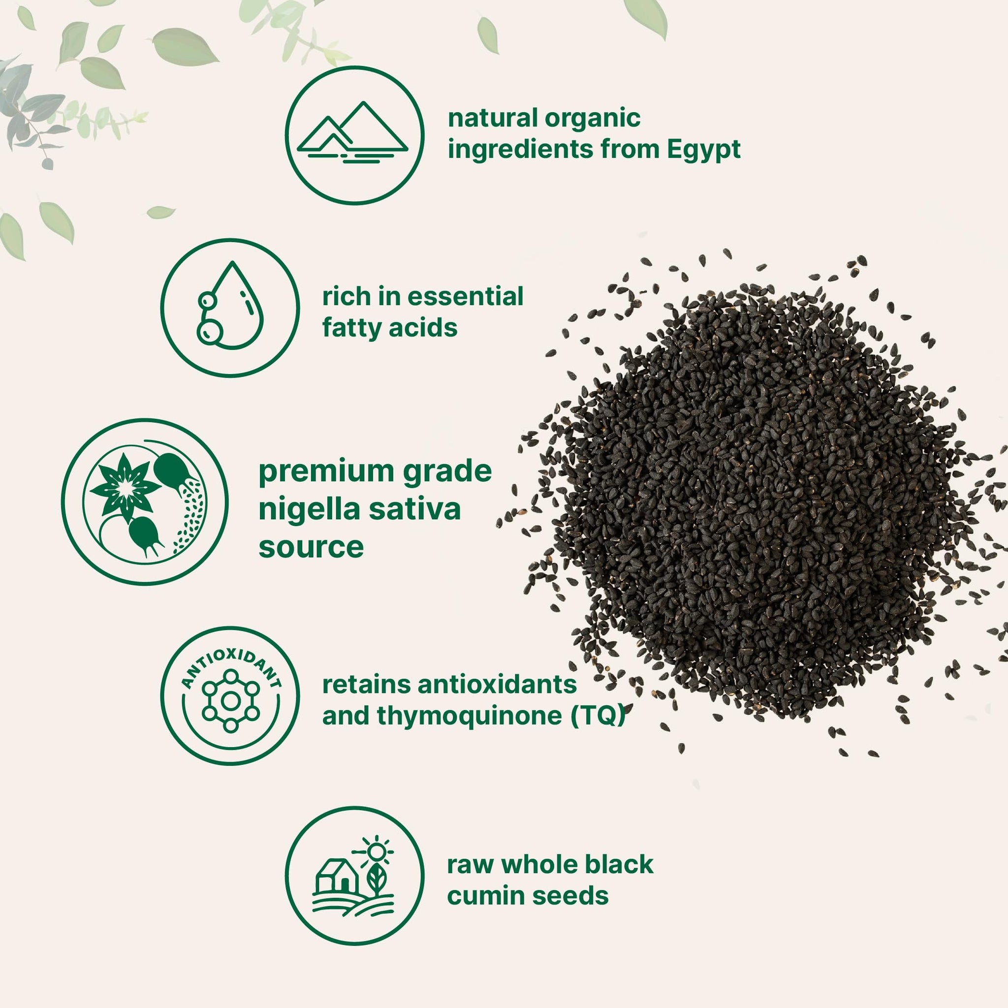 Organic Black Cumin Seed (Nigella Sativa), 2lbs | Premium Grade Whole Black Seed from Egypt | Great for Baking, Seasoning, and Cooking | Additive