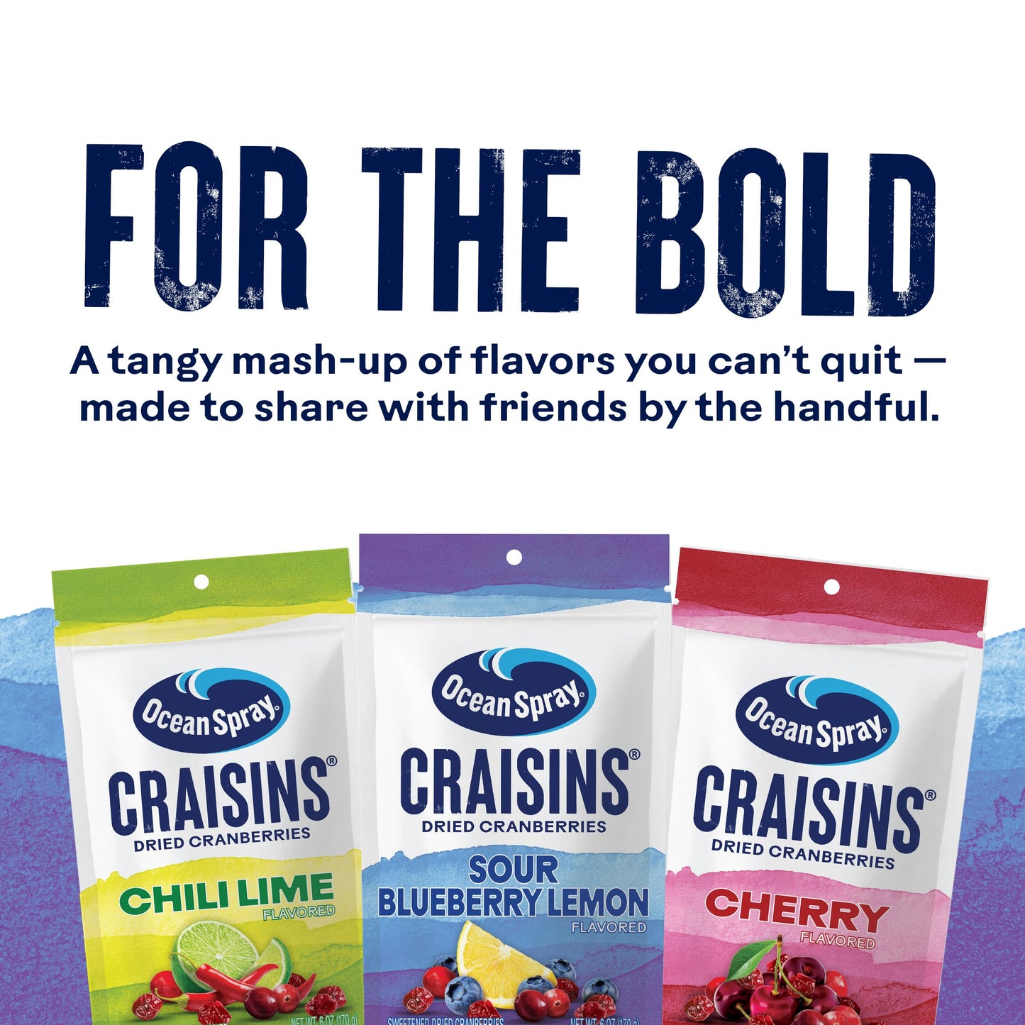 Ocean Spray® Craisins® Sweetened Dried Cranberries, Sour Blueberry Lemon, 6oz Pouch