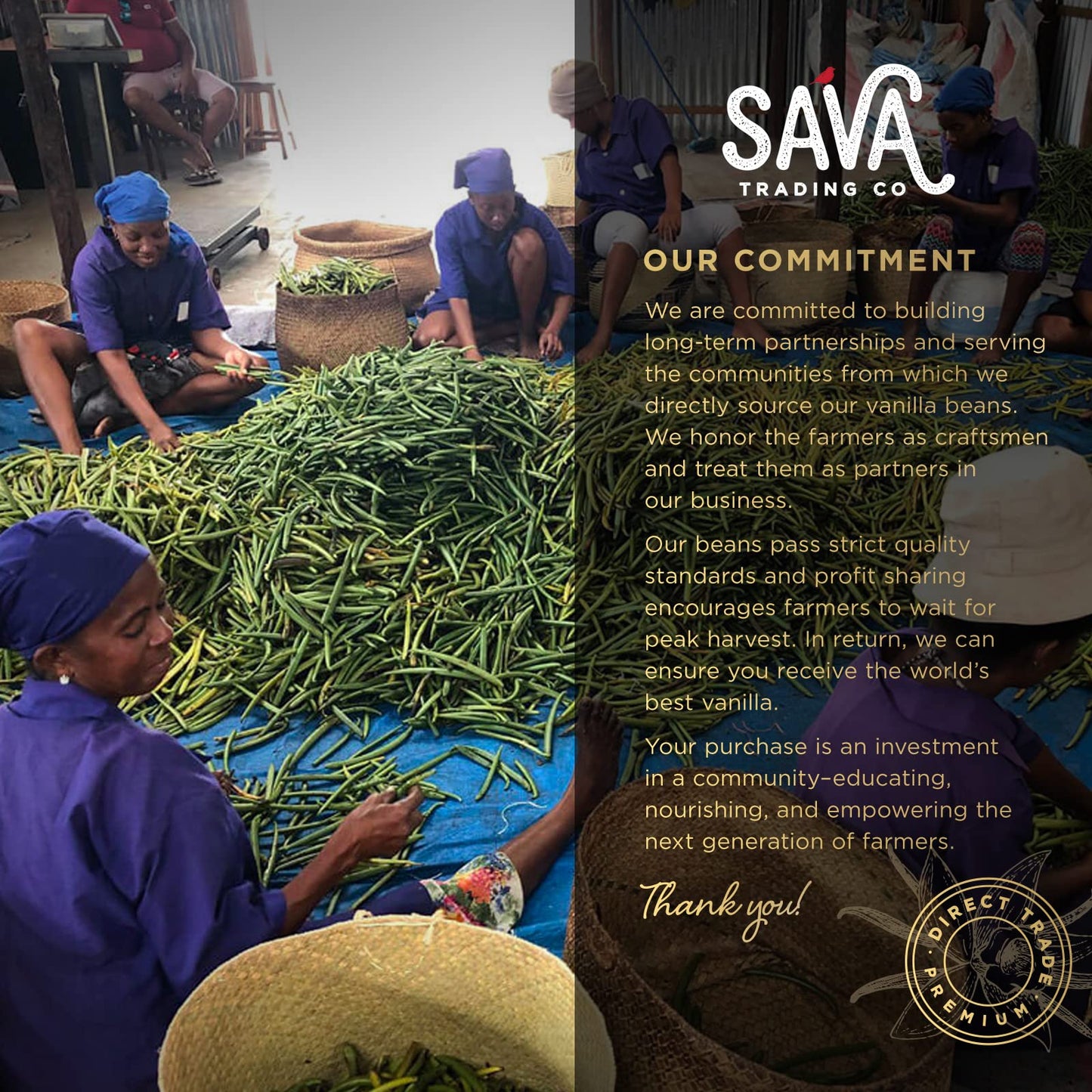 SAVA Madagascar Vanilla Extract - 100% Pure Vanilla Extract from High-Quality Madagascar Vanilla Beans - No Sugar Added Gourmet Vanilla Extract