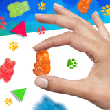 Gummi Bears | 1 Pound Bag | Gummy Candy Bulk | Assorted Fruit Flavors | Chewy Gummies for Candy Buffets, Gifting & Dessert Decorating | Classic Bears
